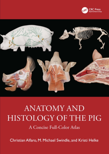 Anatomy and Histology of the Pig