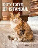 City Cats of Istanbul