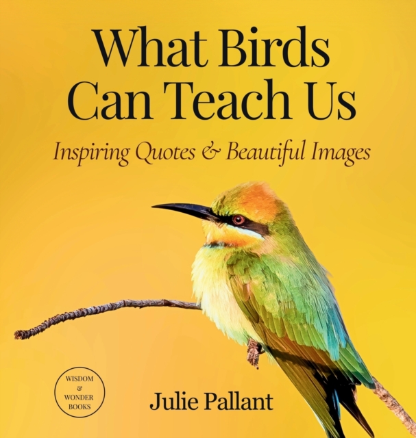 What Birds Can Teach Us