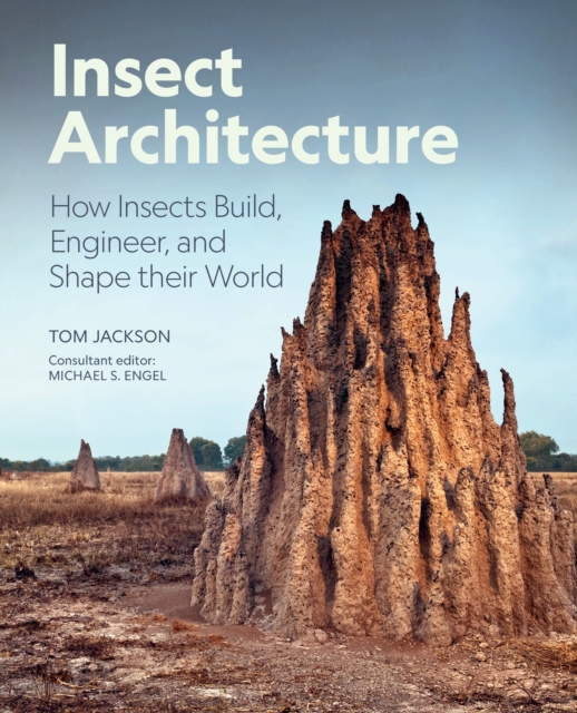 Insect Architecture