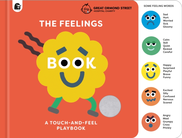 The Feelings Book