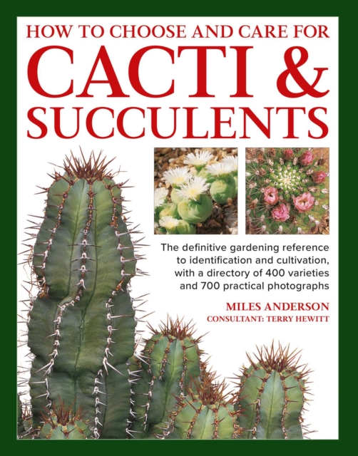 Cacti & Succulents, How to Choose and Care for