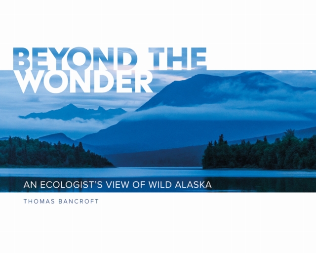 Beyond the Wonder