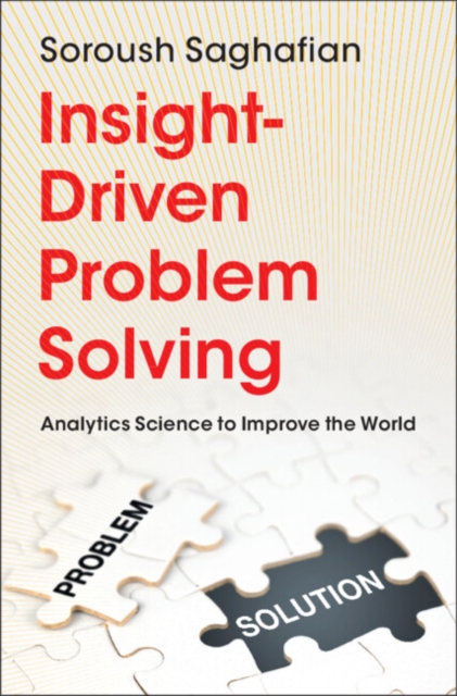 Insight-Driven Problem Solving