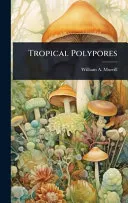 Tropical Polypores