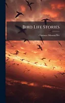 Bird Life Stories