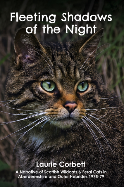 Fleeting Shadows of the Night