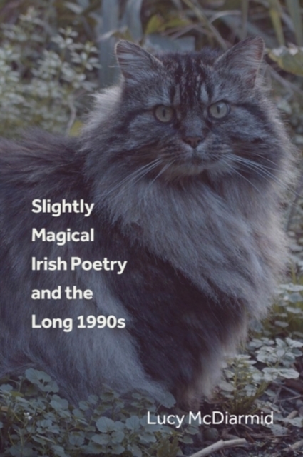 Slightly Magical Irish Poetry and the Long 1990s