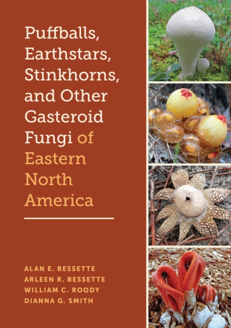 Puffballs, Earthstars, Stinkhorns, and Other Gasteroid Fungi of Eastern North America