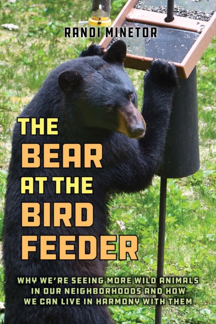 The Bear at the Bird Feeder