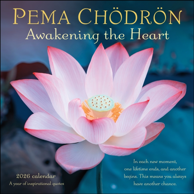 Pema Chodron 2026 Wall Calendar