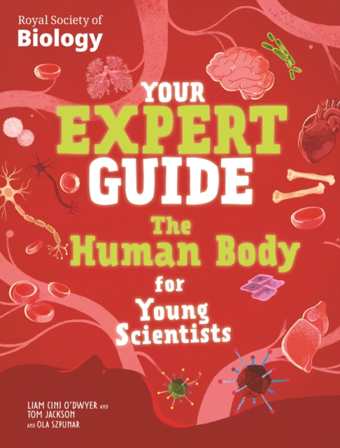Your Expert Guide