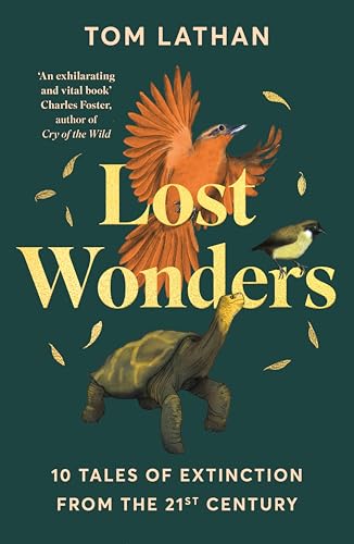 Lost Wonders