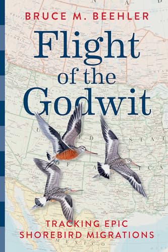 Flight of the Godwit