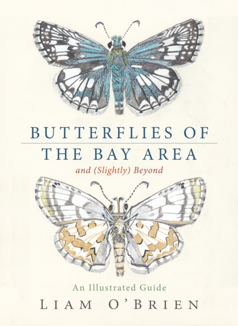 Butterflies of the Bay Area and (Slightly) Beyond