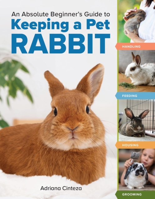 An Absolute Beginner's Guide to Keeping a Pet Rabbit