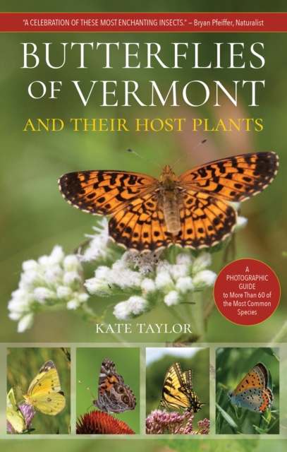 Butterflies of Vermont