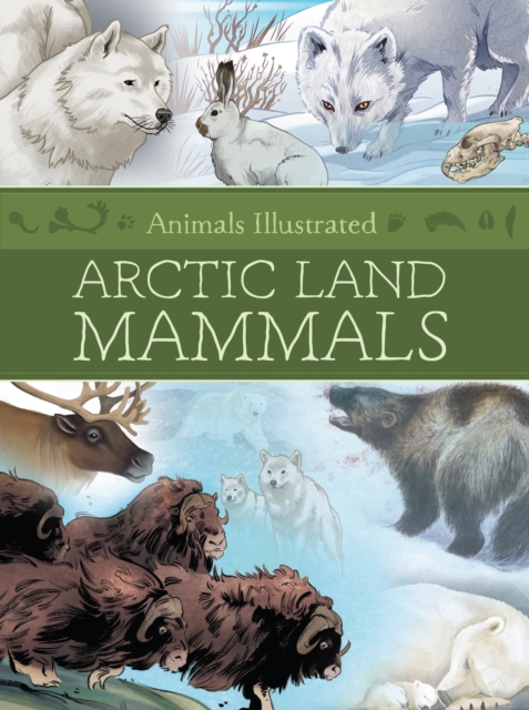Animals Illustrated