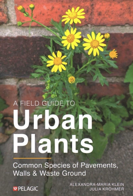 A Field Guide to Urban Plants