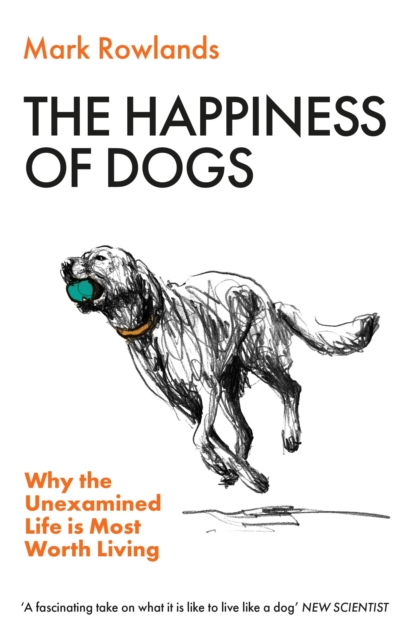 The Happiness of Dogs