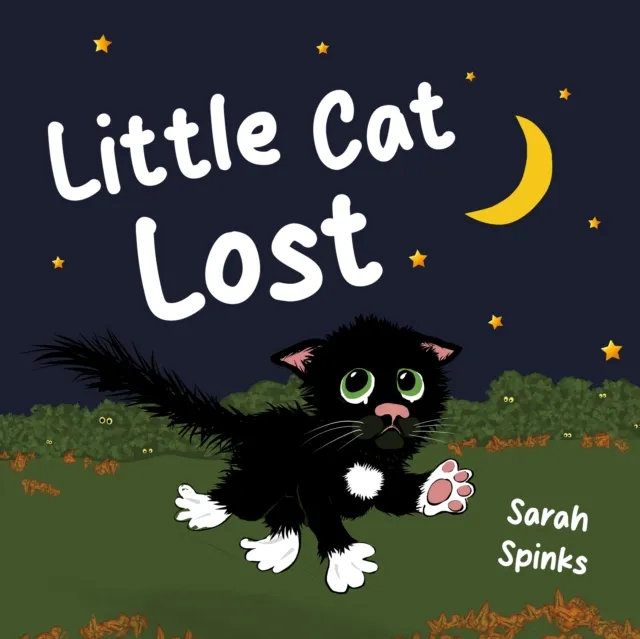 Little Cat Lost