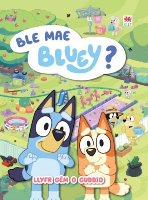 Ble Mae Bluey?