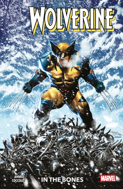 Wolverine Vol. 1