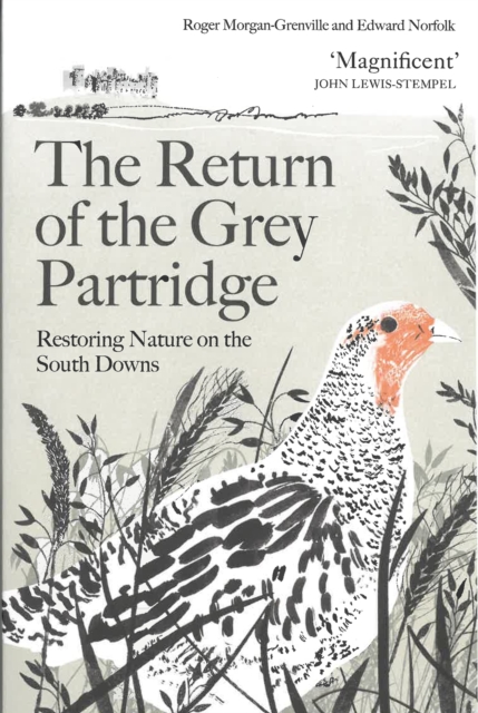 The Return of the Grey Partridge