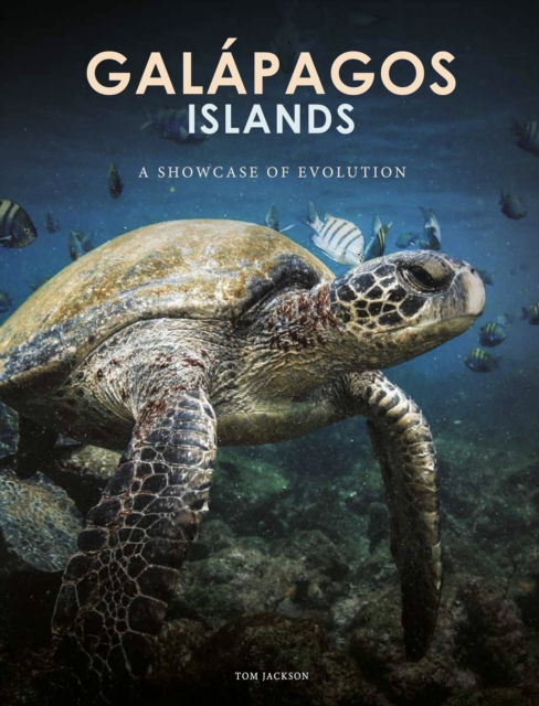 Galapagos Islands