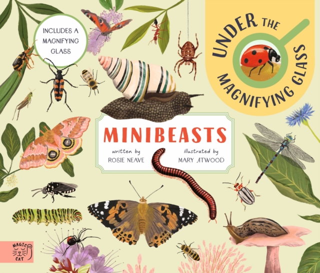 Minibeasts