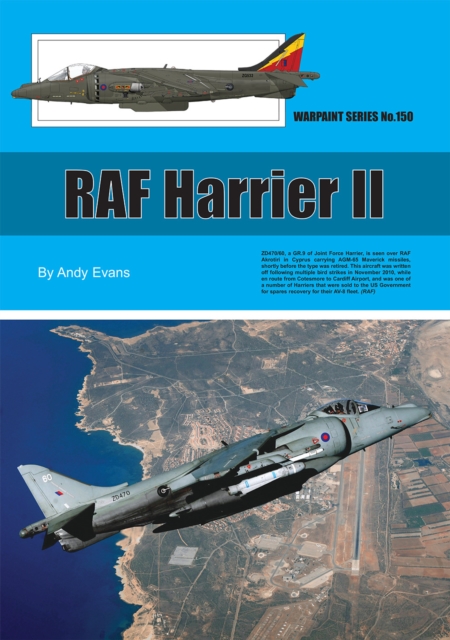 RAF Harrier 11