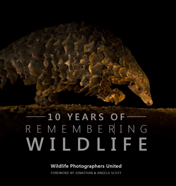 Ten Years of Remembering Wildlife