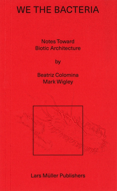 In Praise of Bacteria