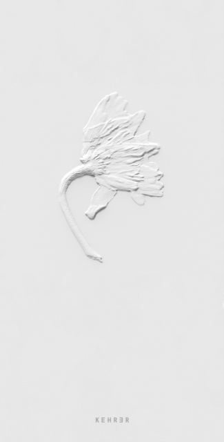 Ephemeral Field Journal