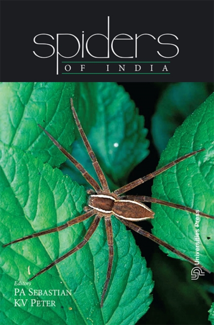 Spiders of India