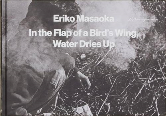 In the Flap of a Bird's Wing, Water Dries Up