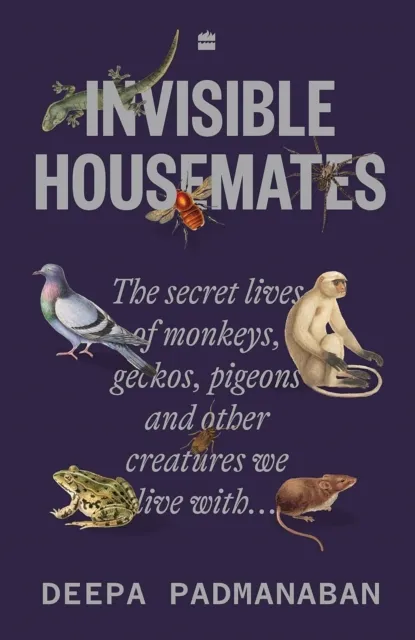 Invisible Housemates