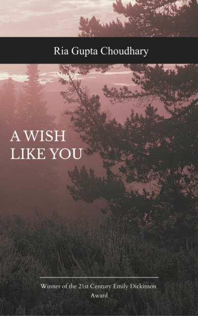A wish like you  (Edition1st)