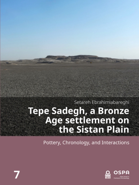 Tepe Sadegh, a Bronze Age settlement on the Sistan Plain