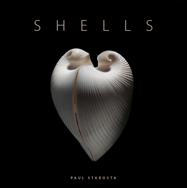 Shells