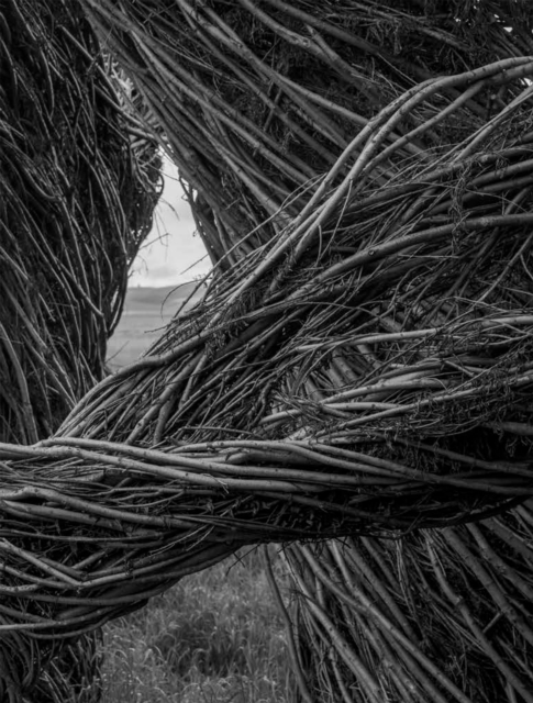 Patrick Dougherty | James Florio