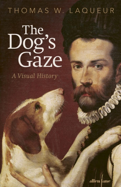 The Dog's Gaze