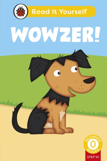 Wowzer (Phonics Step 10)