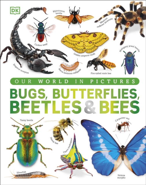 Our World in Pictures Bugs, Butterflies, Beetles and Bees