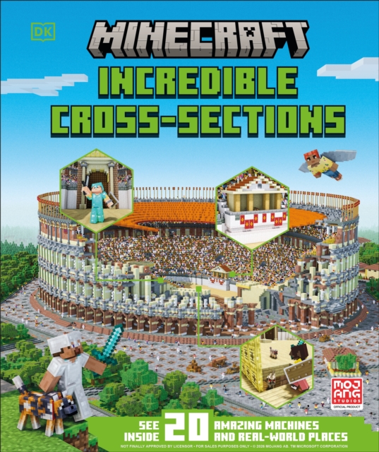Minecraft Cross-Sections