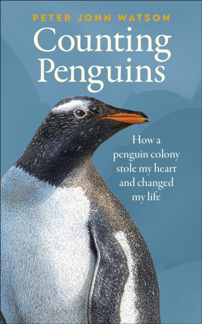Counting Penguins