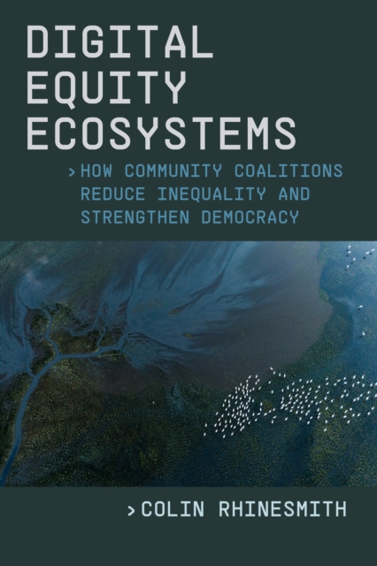 Digital Equity Ecosystems