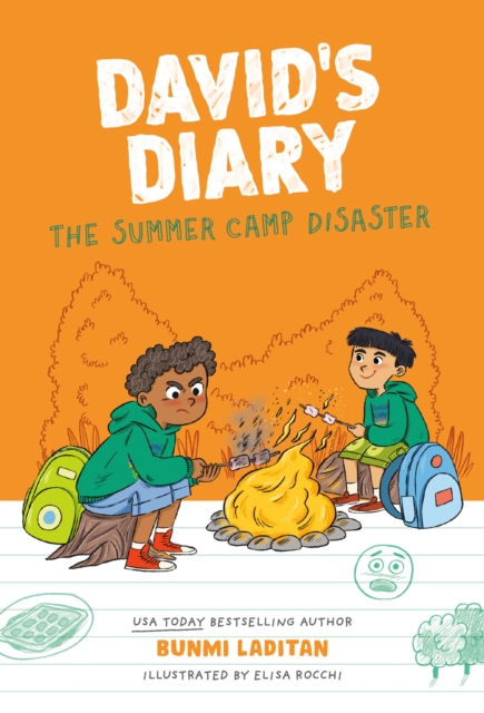 David's Diary #1