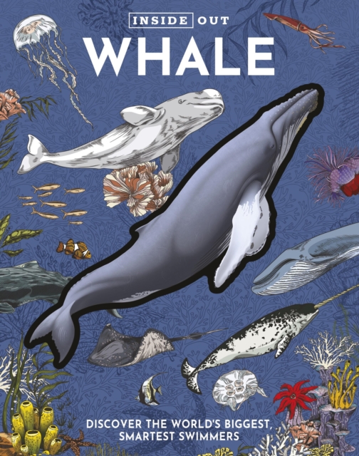 Inside Out Whale