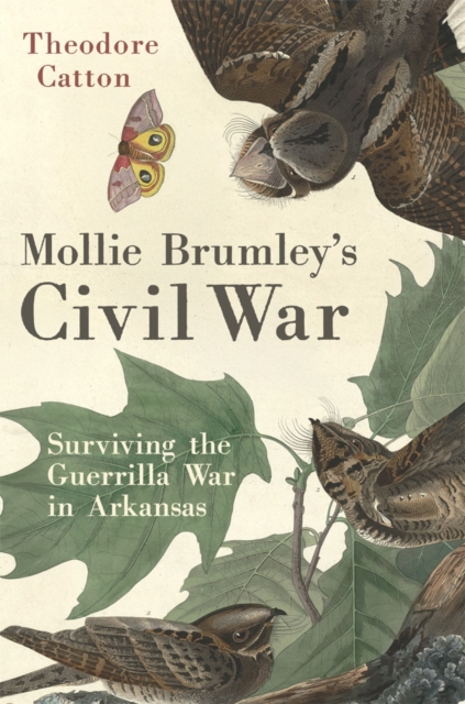 Mollie Brumley's Civil War